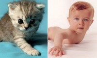 /album/galeria-de-fotos-mundo-animal/gatos-x-bebes-1-jpg/